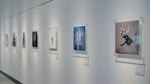 60 Zeichnungen Bremer Künstlerinnen: Ausstellung ab 22. Juli