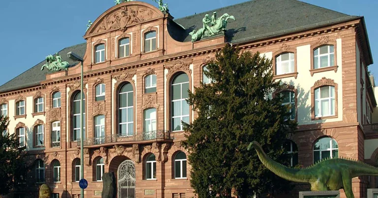 Frankfurt: Ausstellung macht Naturforscherinnen sichtbar