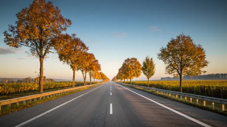 Herbstreisen in Deutschland: Diese Warnungen helfen vor der Abfahrt