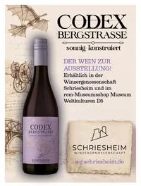 Leonardos Erfindungen selbst ausprobieren: Ausstellung in Mannheim